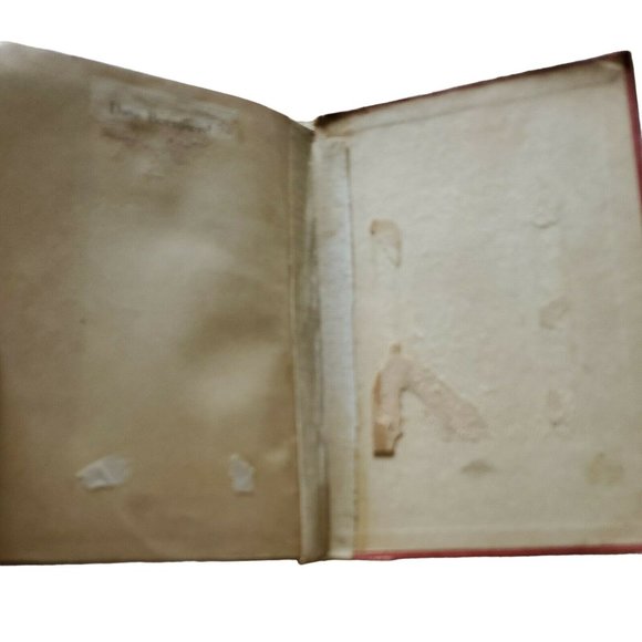 1922 BOOK PUDD'NHEAD WILSON & THOSE EXTRAORDINARY TWINS BY MARK TWAIN, Harper - Picture 11 of 12